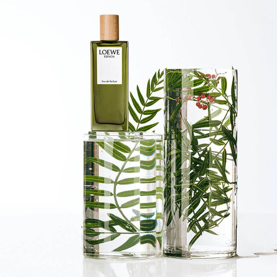 LOEWE ESEN CIA EDP 100ML EDP  100ML